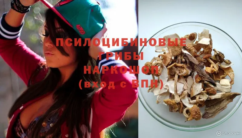 Галлюциногенные грибы Magic Shrooms  площадка официальный сайт  Елизово  блэк спрут  